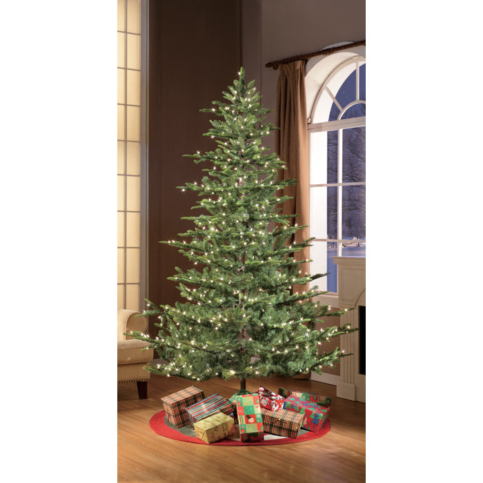 Aspen Green Fir Artificial Christmas Tree with Warm White Lights & Reviews Birch Lane